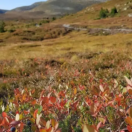 Casa vacanze Cozy Mountain Hogevarde Norefjell