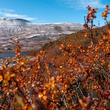 Casa vacanze Cozy Mountain Hogevarde Norefjell *